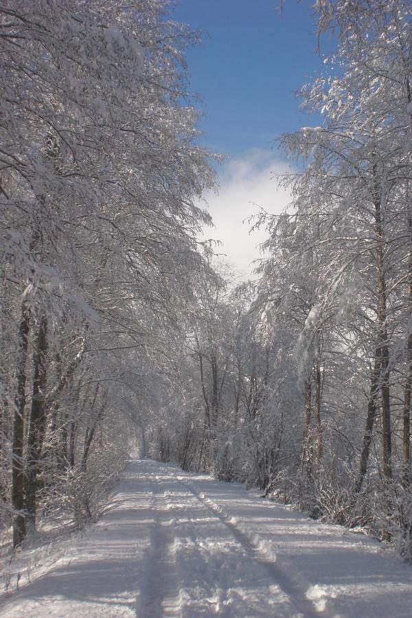 Naturpension Muehlhof นอยเคียร์เชน อัม โกรสเวเนดิเกอร์ ภายนอก รูปภาพ